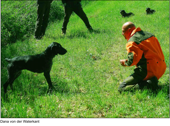 Dana von der Waterkant