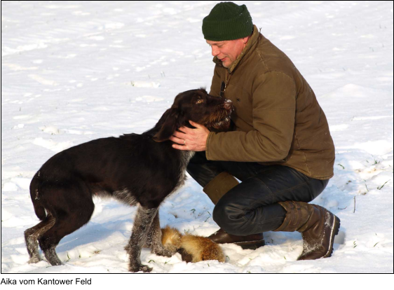Aika vom Kantower Feld