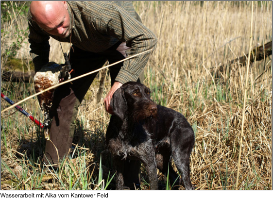 Wasserarbeit mit Aika vom Kantower Feld