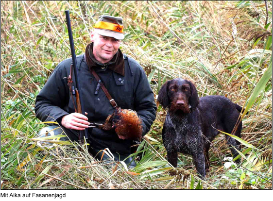 Mit Aika auf Fasanenjagd